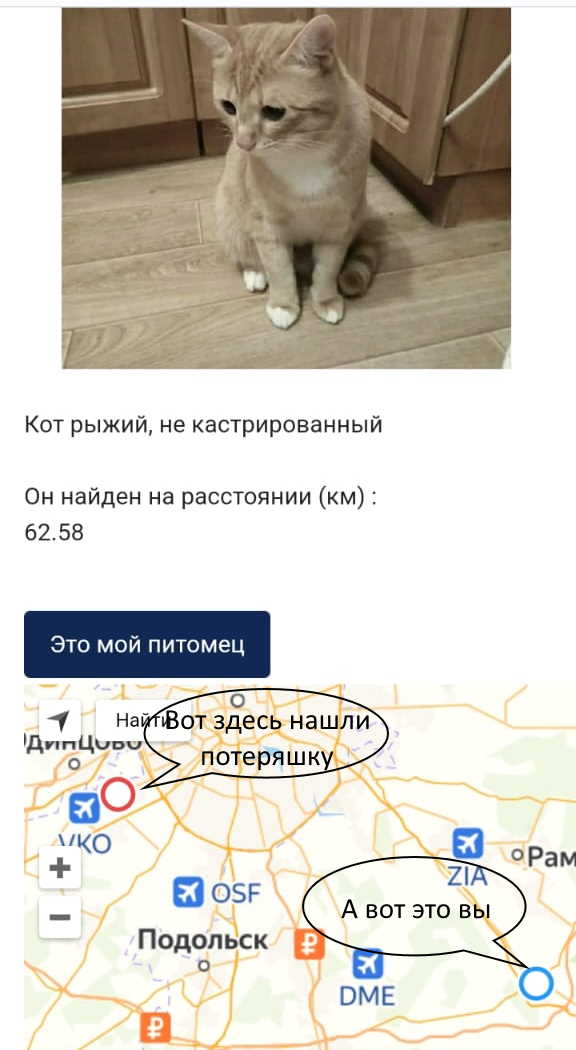 страничка с паспортом животного